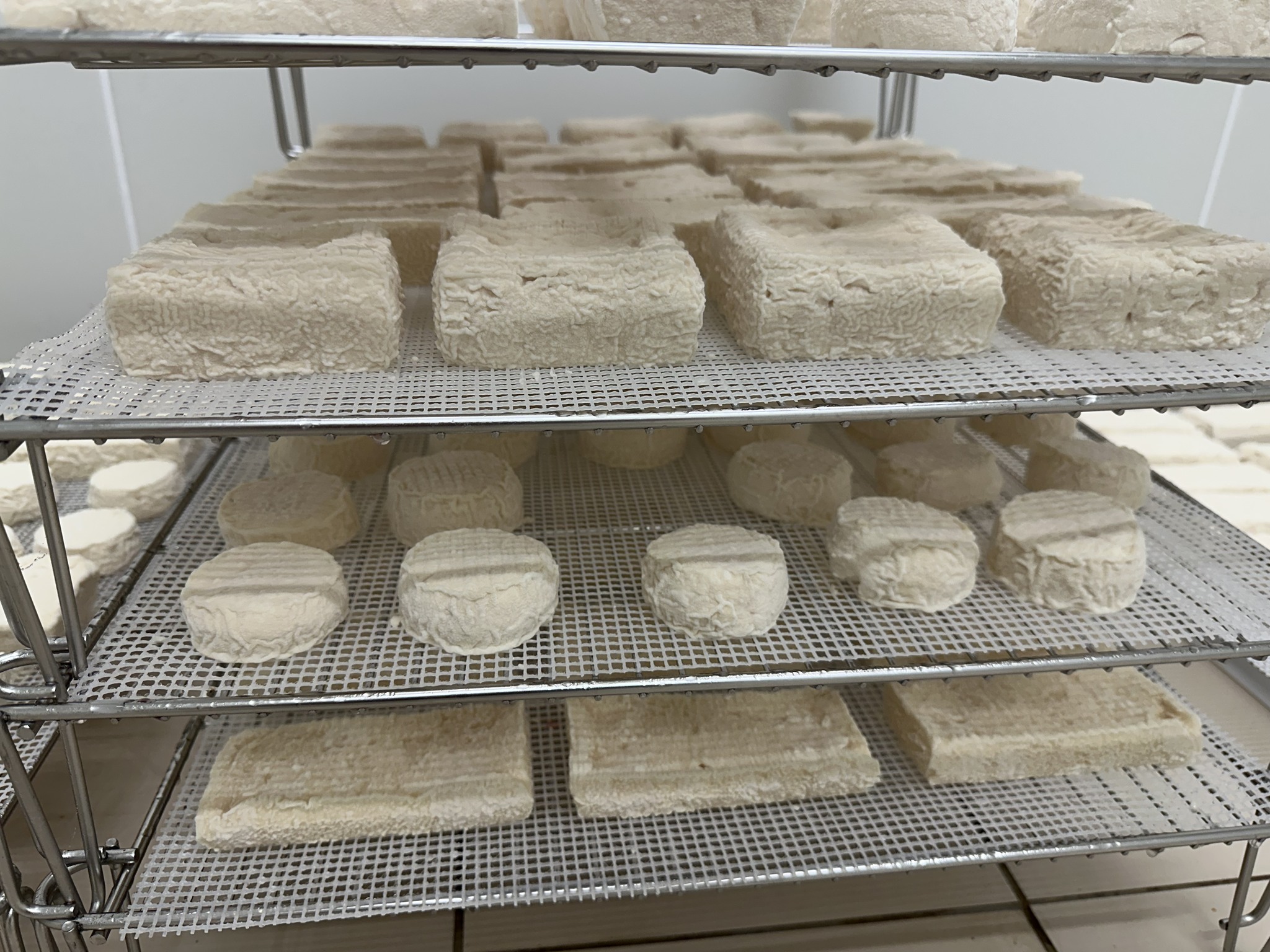 La ferme de Pointou Sarroux-Saint-Julien