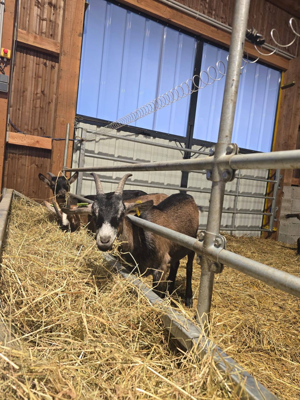 La ferme de Pointou Sarroux-Saint-Julien