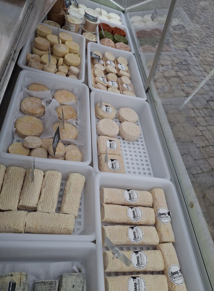 559007806_122141757362826353_3509612121376923332_n